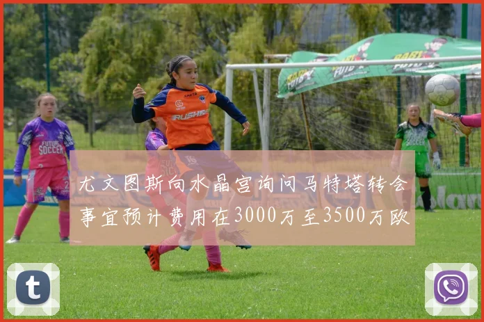 尤文图斯向水晶宫询问马特塔转会事宜预计费用在3000万至3500万欧元之间
