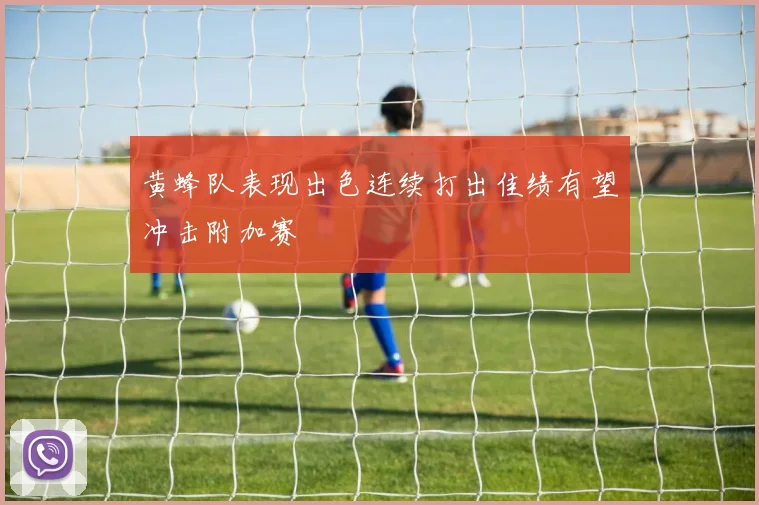 黄蜂队表现出色连续打出佳绩有望冲击附加赛